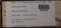 Image Associated With the Occurence